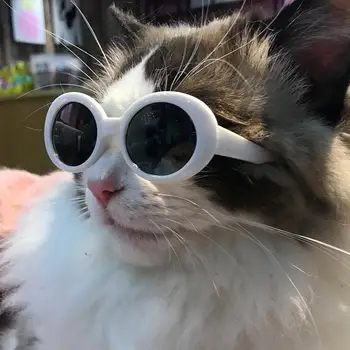 Очки для домашних животных, красивые очки для кошек, маленьких собак, щенков, универсальные очки для домашних животных